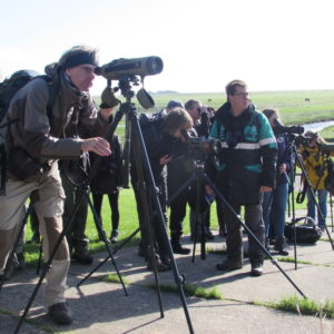 Ranger mit Gruppe und Spektiv